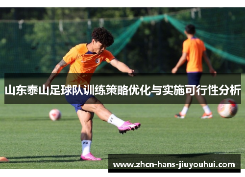 山东泰山足球队训练策略优化与实施可行性分析