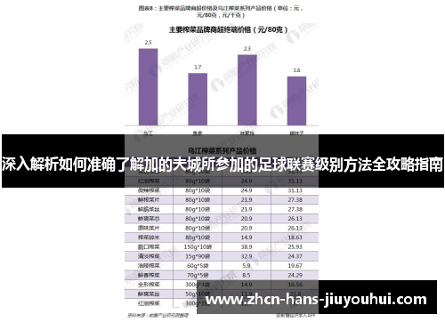 深入解析如何准确了解加的夫城所参加的足球联赛级别方法全攻略指南