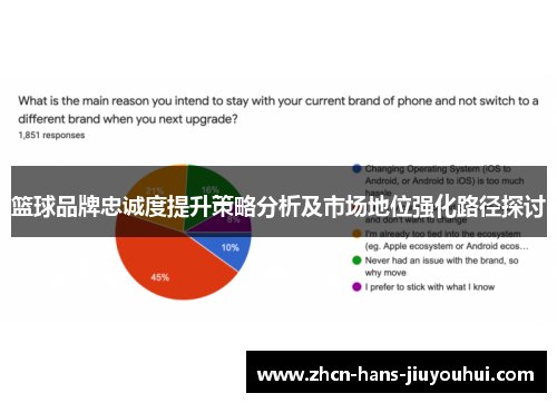 篮球品牌忠诚度提升策略分析及市场地位强化路径探讨