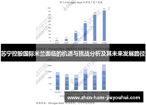 苏宁控股国际米兰面临的机遇与挑战分析及其未来发展路径